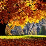 falltime
